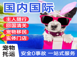 天津航空空运国际宠物托运 【国